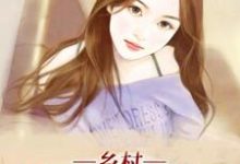 乡村超品农民小说的所有章节都能在哪里免费读到？-贝壳文学