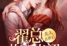 完结版《夫人去世后，翟总悔不当初》章节阅读-贝壳文学
