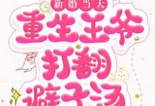 新婚当天,重生王爷打翻避子汤小说的所有章节都能在哪里免费读到?-贝壳文学