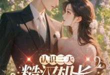 认识三天,糙汉机长送房哄我结婚小说的所有章节都能在哪里免费读到?-贝壳文学
