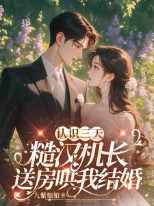 认识三天，糙汉机长送房哄我结婚小说的所有章节都能在哪里免费读到？
