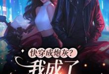 沈眠江衿风小说在哪里可以看-贝壳文学