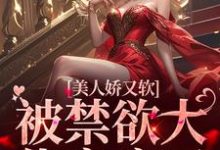求美人娇又软，被禁欲大佬宠疯了小说免费资源-贝壳文学