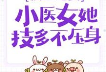 男女主人公叫盛兮沈安和的小说免费资源-贝壳文学