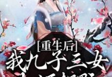在线寻找纳兰昭懿玄烨的小说,重生后,我九子三女权倾朝野免费阅读-贝壳文学