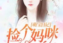 主人公鹿依依傅恒之傅御宸傅婉婷小说萌宝日记：捡个妈咪送爹地在线章节阅读-贝壳文学