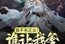 朱钧徐妙锦的故事在哪本书里？免费阅读我不务正业？谁让我爹是皇帝！-贝壳文学