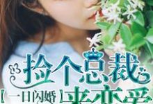 免费看一日闪婚:捡个总裁来恋爱小说的网站有哪些?-贝壳文学
