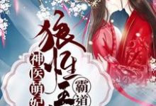 林初晓邵羿的故事在哪本书里?免费阅读神医萌妃:狼性王爷霸道宠-贝壳文学