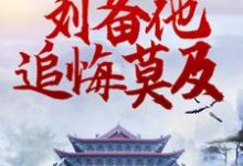 三国：转投曹操后，刘备他追悔莫及小说最新章节在哪里可以读到？-贝壳文学