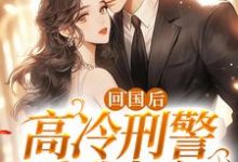 求回国后，高冷刑警爱我如初小说免费资源-贝壳文学