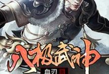 武极穆宁雪是哪本书的主角？寻找八极武神免费阅读-贝壳文学