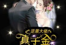 已完结小说《逆袭大佬：真千金她帅翻了》章节在线阅读-贝壳文学