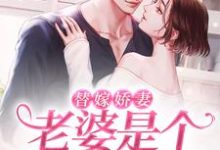 替嫁娇妻：老婆是个隐藏大佬小说有没有完整的免费版本在线阅读？-贝壳文学