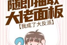随即抽取大佬面板,我成了大反派免费阅读,随即抽取大佬面板,我成了大反派 沈阎连茜-贝壳文学