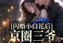 求推荐可以免费阅读闪婚小白花后，京圈三爷彻底收心了小说的网站-贝壳文学