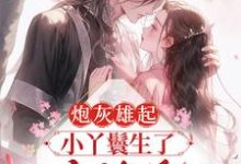 炮灰雄起:小丫鬟生了王府继承人苏柒柒,炮灰雄起:小丫鬟生了王府继承人在线无弹窗阅读-贝壳文学