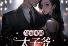 完结版《破镜重圆：太子爷他太霸道》章节阅读-贝壳文学