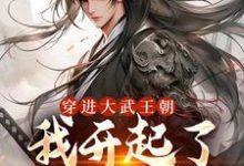 主人公陈烨小莲小说穿进大武王朝，我开起了孤儿院在线章节阅读-贝壳文学