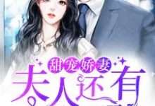 甜宠娇妻:夫人还有马甲吗小说的免费阅读版本在哪里可以找到?-贝壳文学