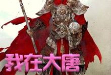 我在大唐卖军火小说有没有完结版在线？-贝壳文学
