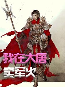我在大唐卖军火小说有没有完结版在线？