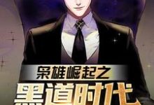 小说《枭雄崛起之黑道时代由我统领！》章节免费阅读-贝壳文学