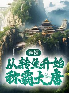 神婿：从转生开始称霸大唐小说，神婿：从转生开始称霸大唐唐昊李婉清