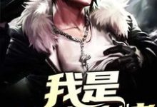 已完结小说《我是全能大佬》在线章节阅读-贝壳文学