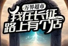 万界超市：我在长征路上有个店高妙妙在线章节免费阅读-贝壳文学