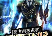 高考前被退学，获得高科技武器图纸小说，高考前被退学，获得高科技武器图纸免费阅读-贝壳文学