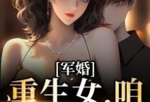 陆婷沈凌阳是哪本书的主角？军婚：重生女，咱们等着瞧免费读-贝壳文学
