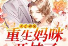 小说《天才萌宝：重生妈咪开挂了》在线章节阅读-贝壳文学