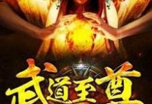 武道至尊叶梵天萧泽钰刘欣王雪在线章节免费阅读-贝壳文学