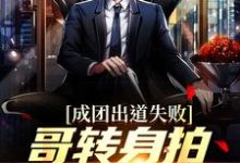 成团出道失败，哥转身拍电影成影帝小说的所有章节都能在哪里免费读到？-贝壳文学