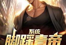 《系统:脚踩青帝,拳打立海》小说章节在线试读,《系统:脚踩青帝,拳打立海》最新章节目录-贝壳文学