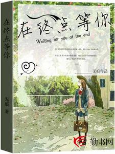 免费在线阅读在终点等你小说的正规网站有哪些？