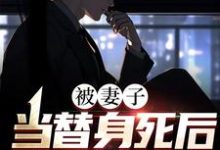 寻找能够免费阅读被妻子当替身死后，我重生了小说的平台-贝壳文学