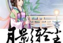 已完结小说《月影轻尘》章节在线阅读-贝壳文学