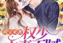 免费看萌宝来袭：权少宠妻不腻小说的网站有哪些？-贝壳文学