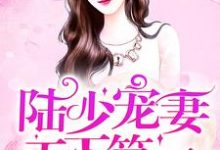陆季同叶简小说《陆少宠妻天下第一》在线阅读-贝壳文学