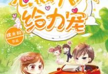 姜浅陆辞尧周周嘟嘟小说《1胎2宝：总裁大人，给力宠》在线阅读-贝壳文学