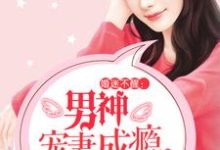 沈微廉辛然裴宏魏娜的小说在哪里看？免费在线阅读婚迷不醒：男神宠妻成瘾-贝壳文学