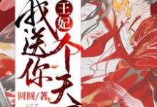 主人公叫林诗儿景王三皇子的小说王妃，我送你个天下在线阅读章节-贝壳文学