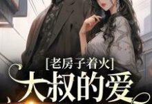 小说《老房子着火:大叔的爱势不可挡》在线章节阅读-贝壳文学