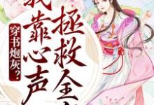 免费阅读陆朝朝陆元宵为主角的小说，穿书炮灰？我靠心声拯救全家在线看-贝壳文学
