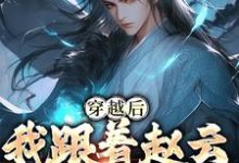 穿越后,我跟着赵云混三国赵霖,穿越后,我跟着赵云混三国在线无弹窗阅读-贝壳文学
