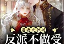 《追妻火葬场：反派不做受气媳妇啦》小说章节列表免费试读，宋言之裴聿琛小说在线阅读-贝壳文学
