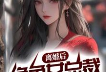 离婚后，绝色女总裁悔不当初最新章节，离婚后，绝色女总裁悔不当初章节在线阅读-贝壳文学