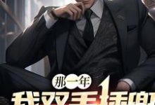 许风是哪本书的主角？寻找那一年，我双手插兜斩魔杀神免费阅读-贝壳文学